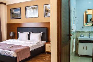 Фото номера Одноместный номер с собственной ванной комнатой Отель Hotel Plaza Viktoria г. Гюмри 4